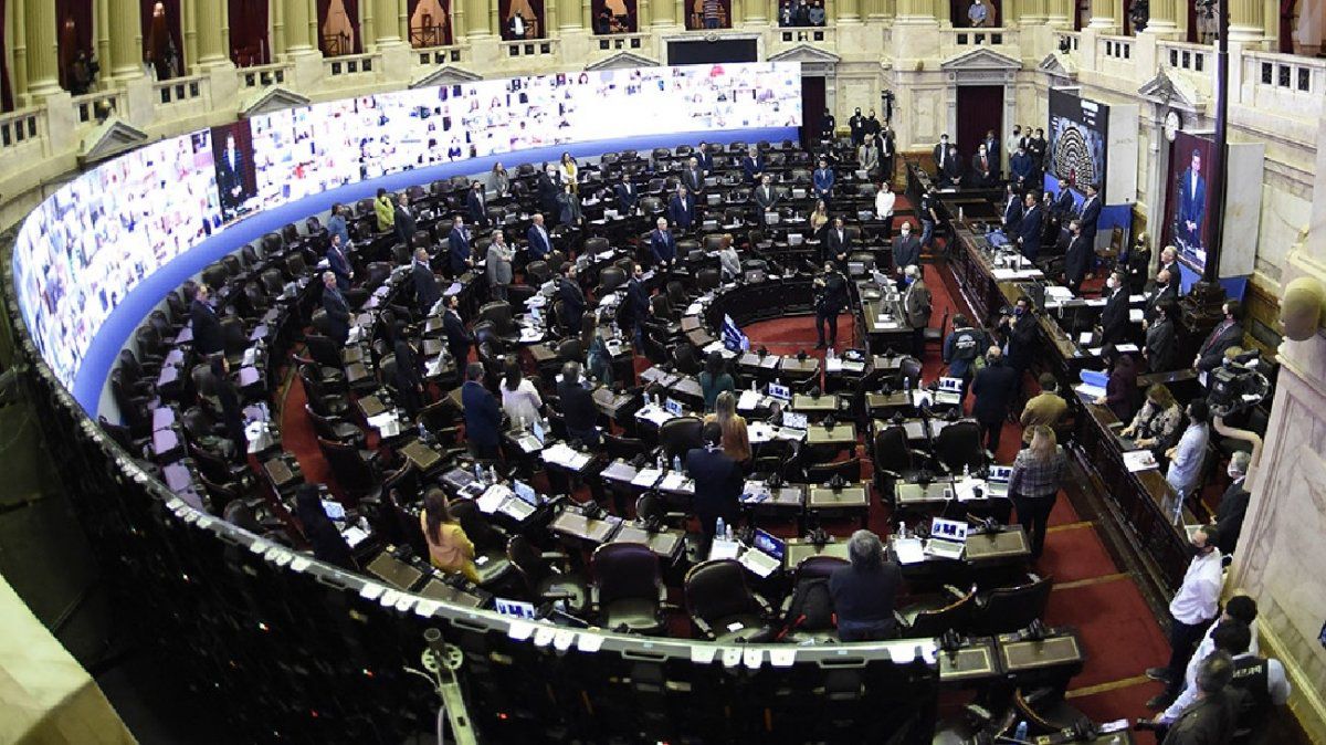 La mujeres luchamos por la igualdad de derechos y por nuestras voces en las bancas