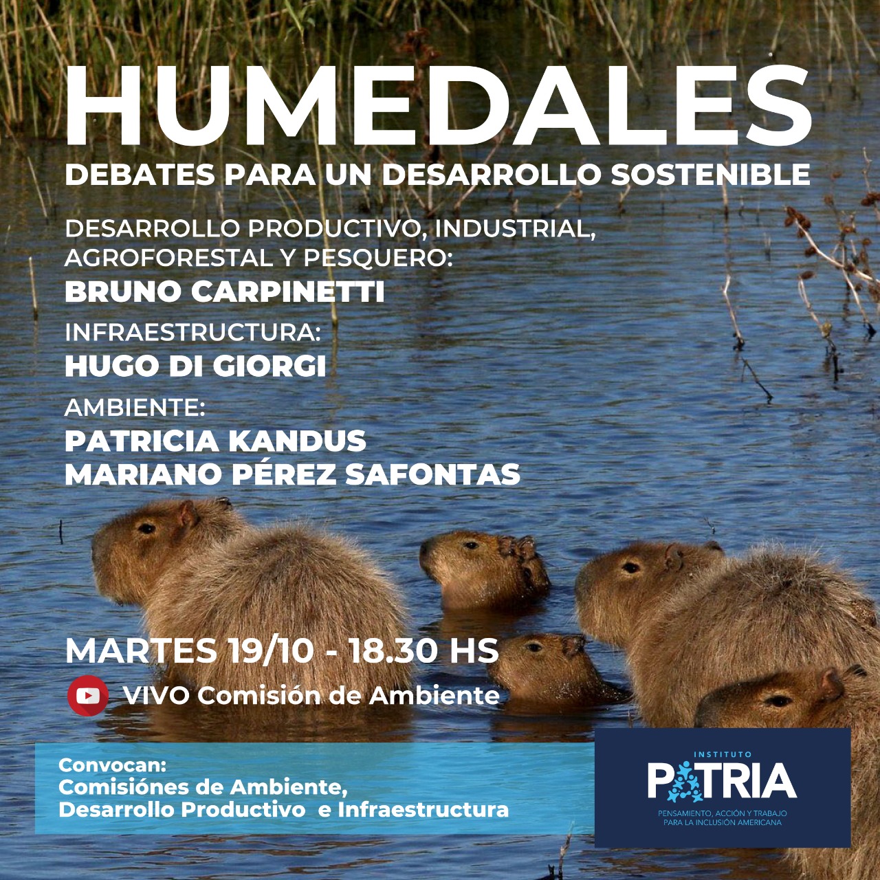 HUMEDALES                                        Debates para un Desarrollo Sostenible