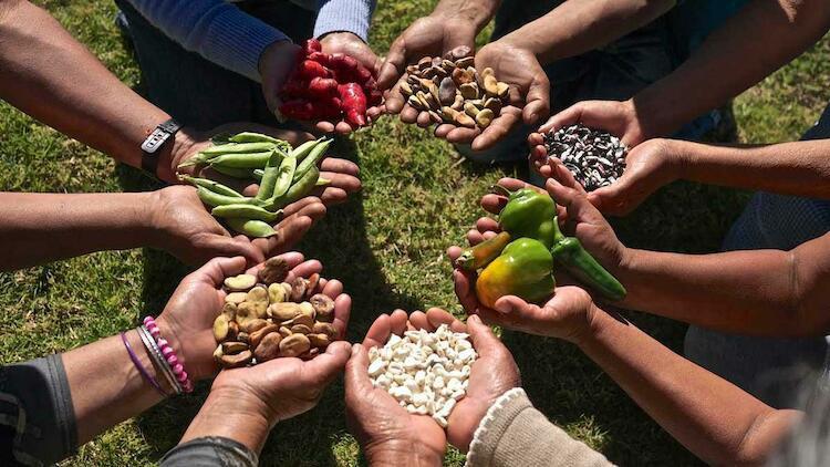 SOBERANÍA ALIMENTARIA: MITOS Y DESAFÍOS