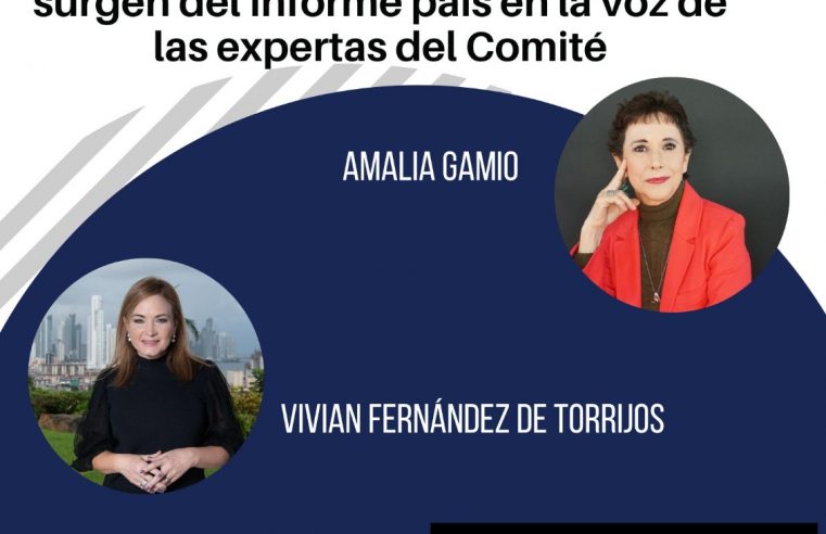 ENCUENTRO VIRTUAL CON LAS EXPERTAS DEL COMITÉ DE LOS DERECHOS DE LAS PERSONAS CON DISCAPACIDAD
