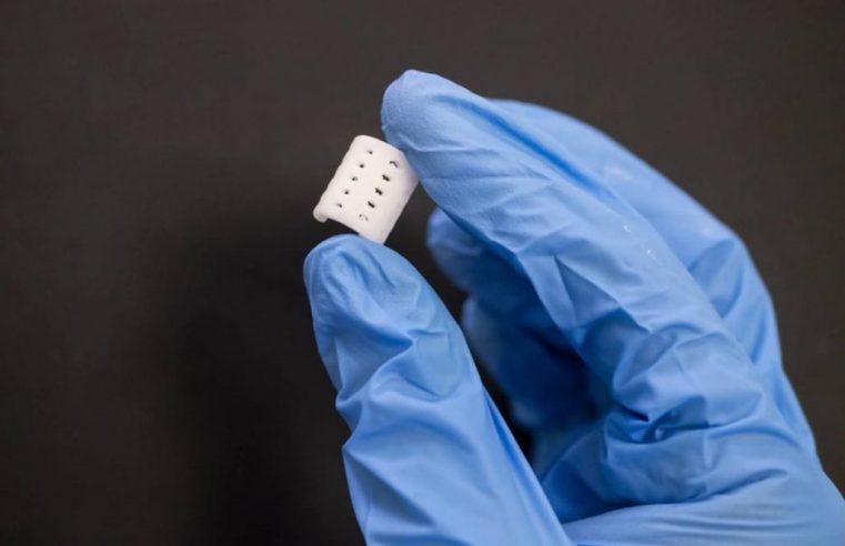CIENCIA+TECNOLOGÍA+SALUD: UN HITO EN LA VIDA DE VALENTINO