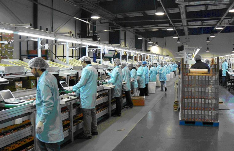 Fundamentos para una Política Industrial Nacional y Federal