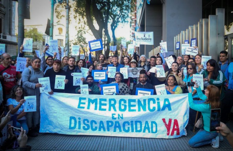 COMUNICADO SOBRE LAS MANIFESTACIONES DE LA AGENCIA NACIONAL DE DISCAPACIDAD (ANDIS) SOBRE LA LEY DE EMERGENCIA EN DISCAPACIDAD